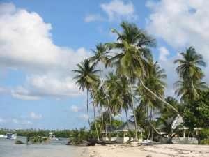 Karibikstrand mit Palmen - Jobs im Tourismus im In- und Ausland